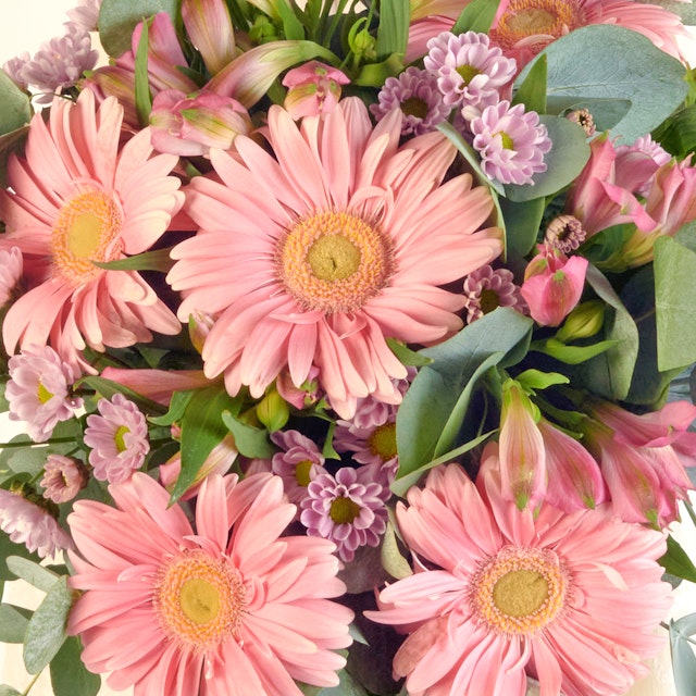 Ramo de Gerberas rosas - Gesto amoroso