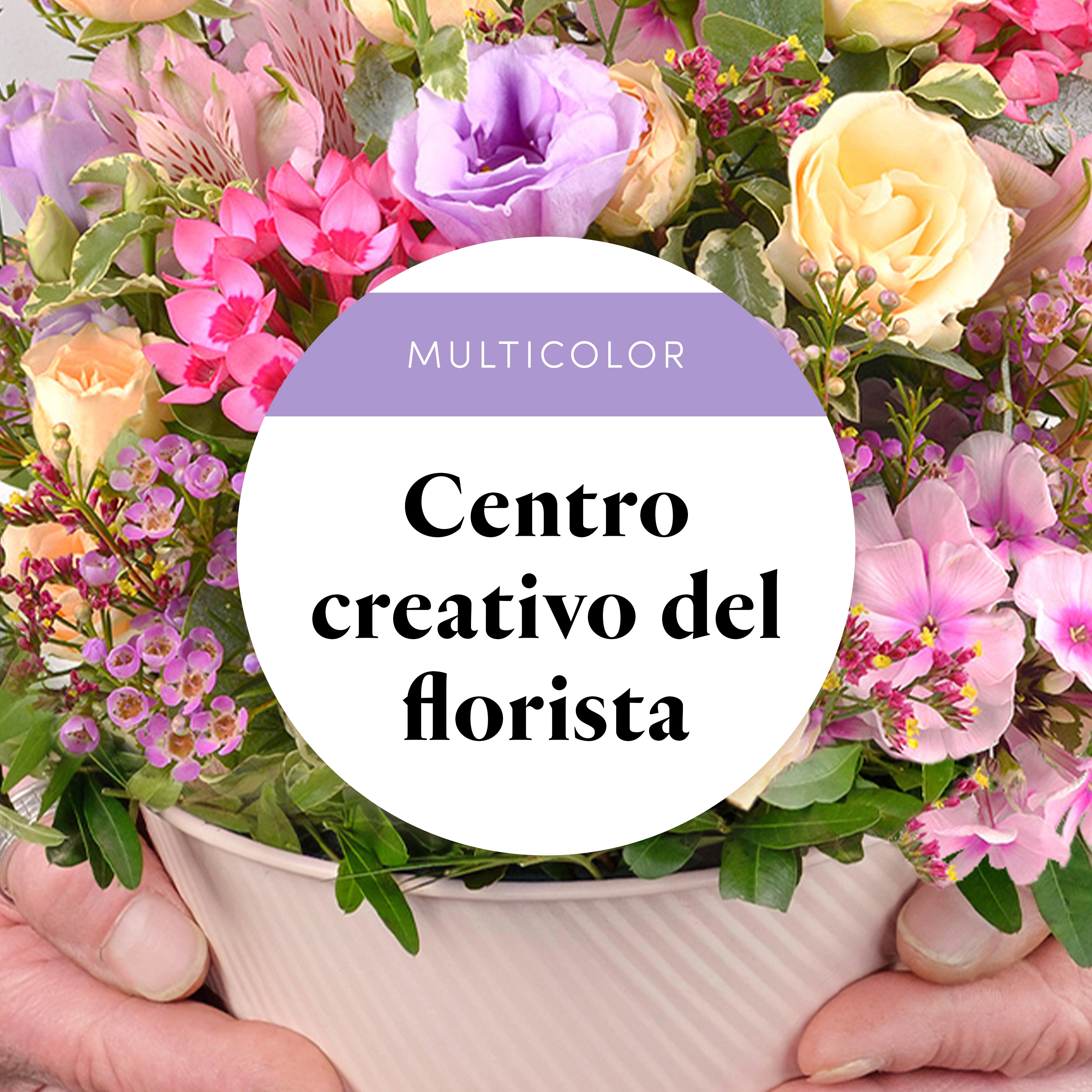 Centro Creativo del Florista
