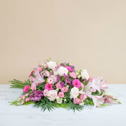 Palma rosa