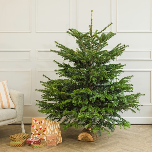 Árbol de Navidad