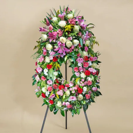 Aureola Premium Multicolor