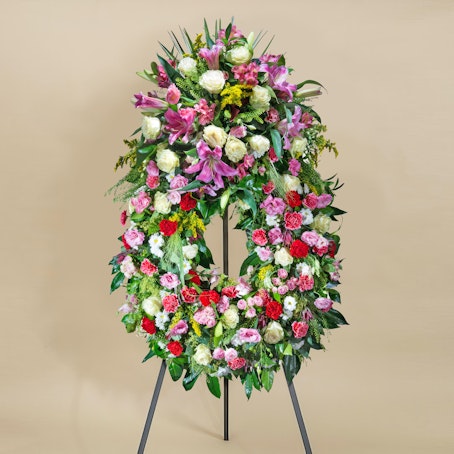 Aureola Premium Multicolor