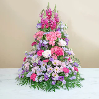 Ascenso Rosa