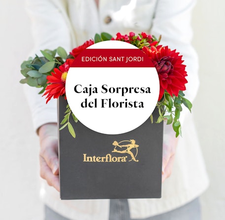 1750959075-1202857-2025