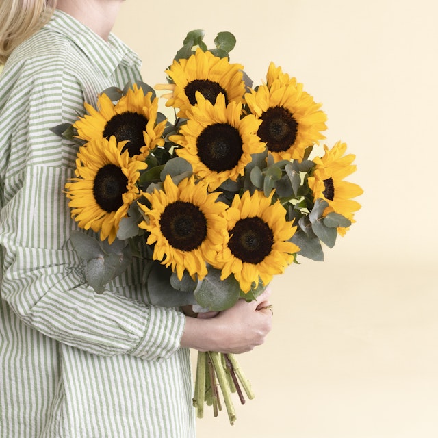Ramo de Girasoles