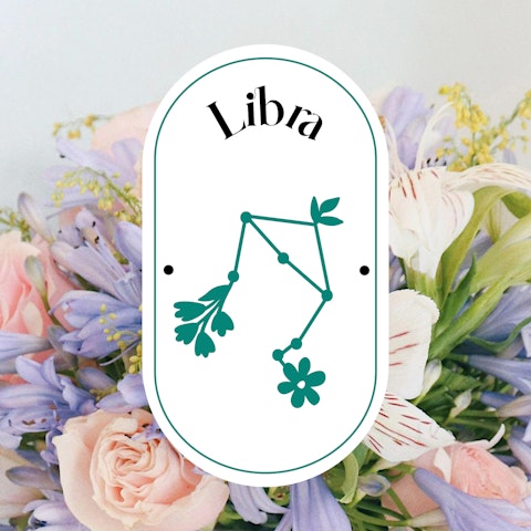 Signo del mes: Libra