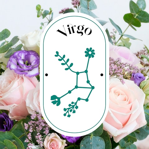 Signo del mes: Virgo