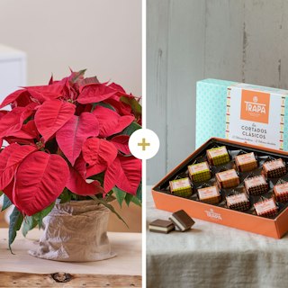 Dulce Navidad