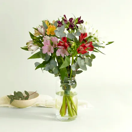 Ramo de Alstroemerias Multicolor