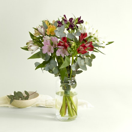 Ramo de Alstroemerias Multicolor