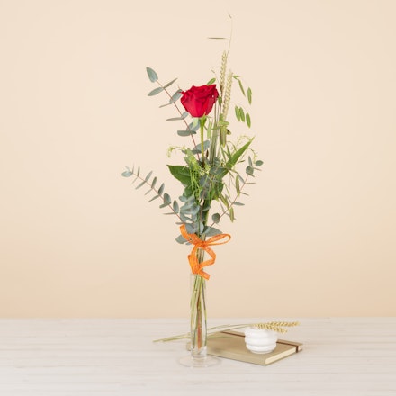 Día de la Rosa