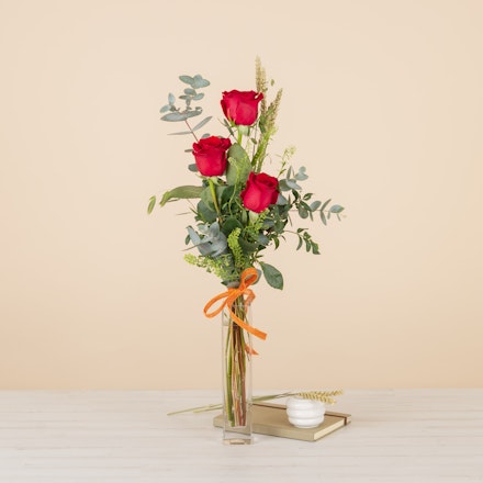 Arreglo Sant Jordi