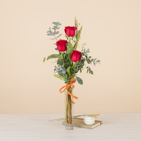 Arreglo Sant Jordi
