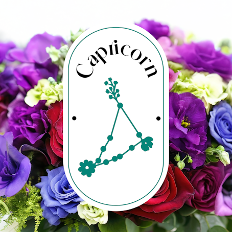 Capricornio