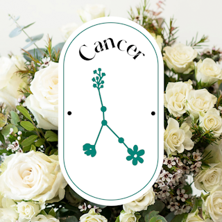 Cáncer