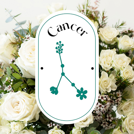 Cáncer