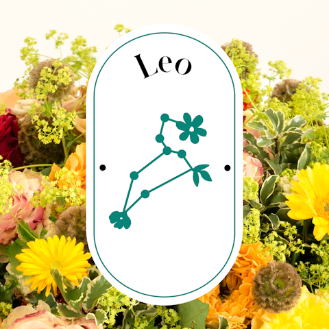Signo del mes: Leo