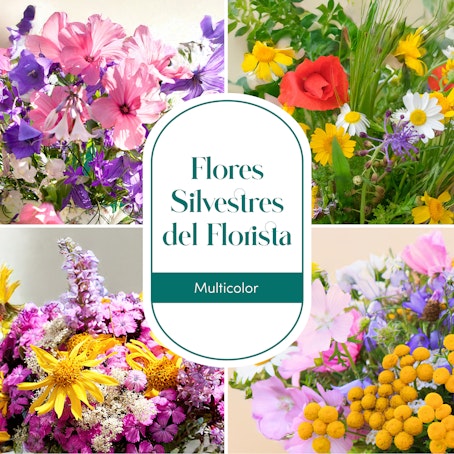 Bouquet del florista con flores silvestres