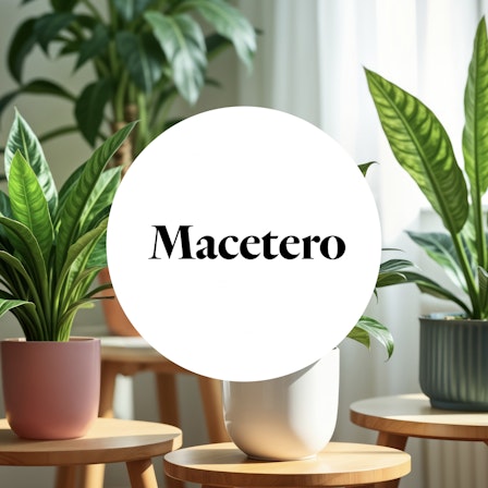 1750959075-1202857-2025