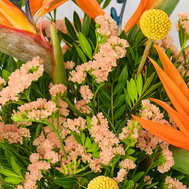 Fiesta Floral