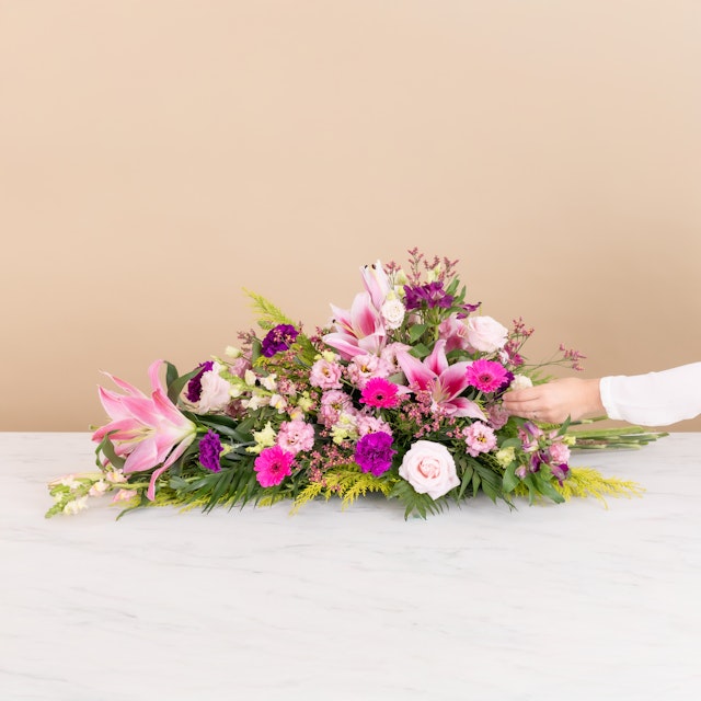 Palma Delicada Rosa