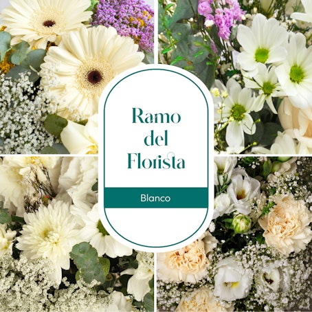 Ramo del Florista blanco