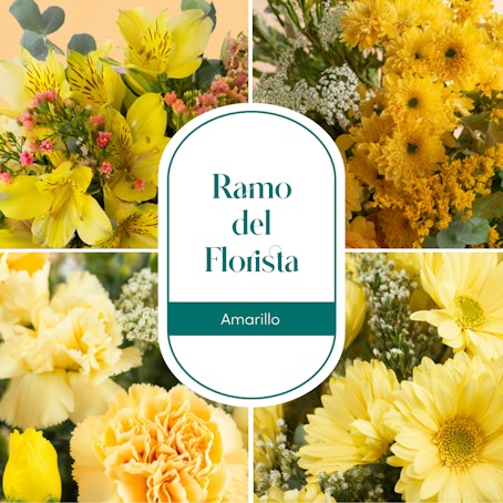 Dia de la Paz - Ramo del Florista Amarillo