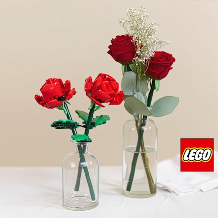 Amor para Siempre LEGO®