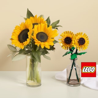 Dúo Brillante LEGO®