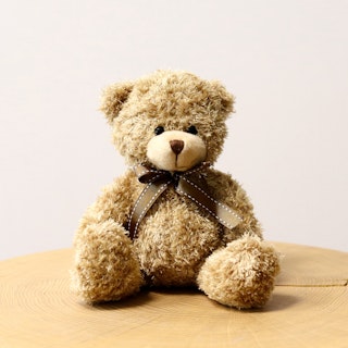 Osito de Peluche Suave