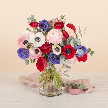 Ranunculos y Anemonas Multicolor