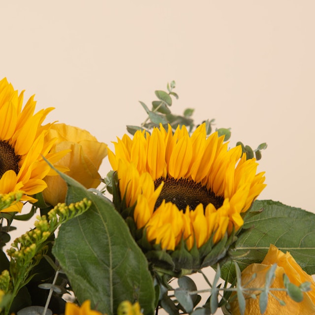 Girasoles y Rosas Amarillas