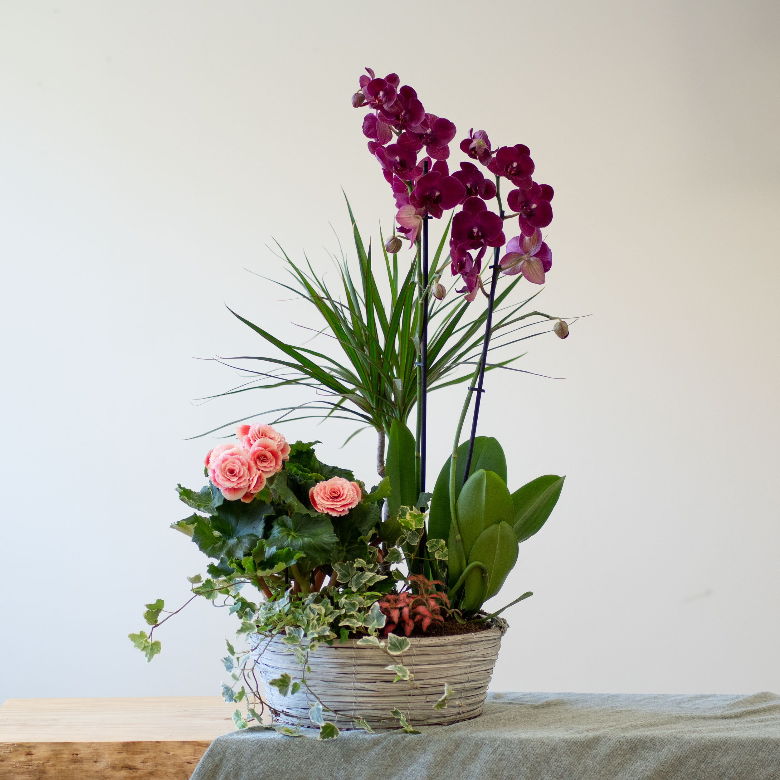 Centro de plantas rosadas