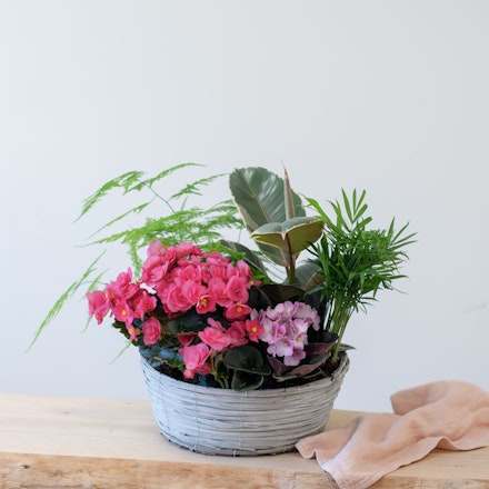 Arreglo Tropical con Begoña