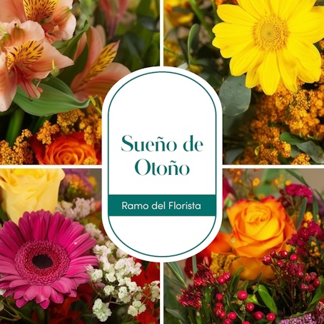 Sueño de Otoño