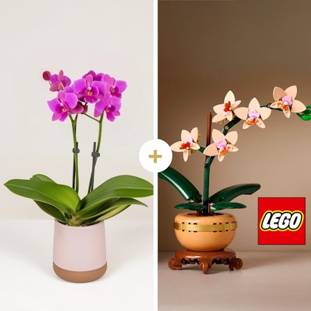 1750959075-1202857-2025