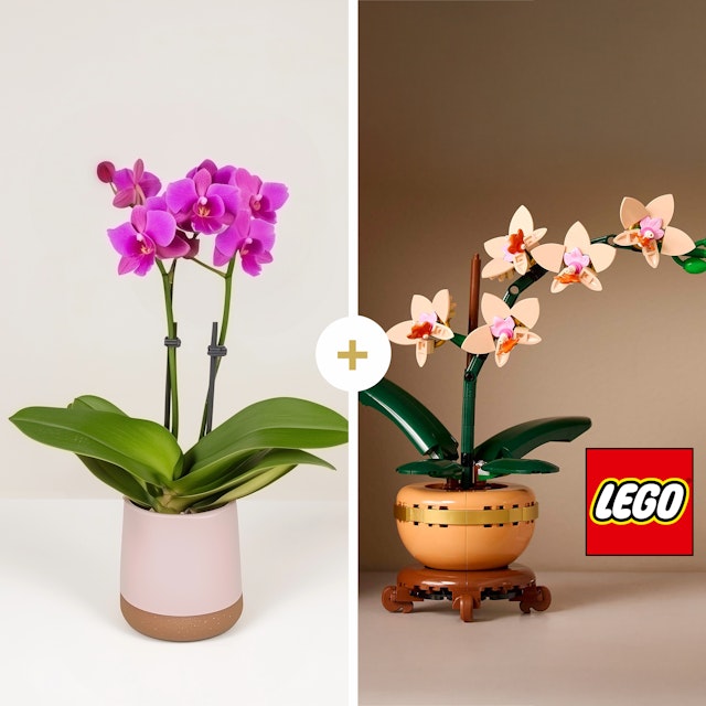 Mini Sonrisas LEGO®