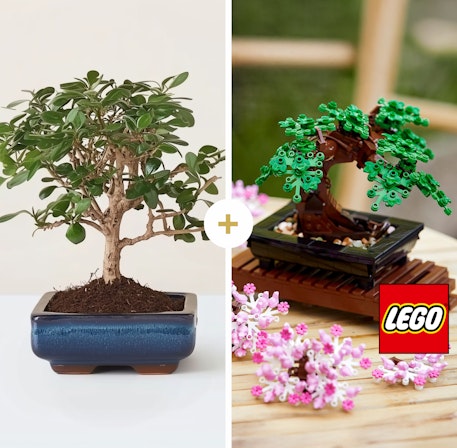 1750959075-1202857-2025