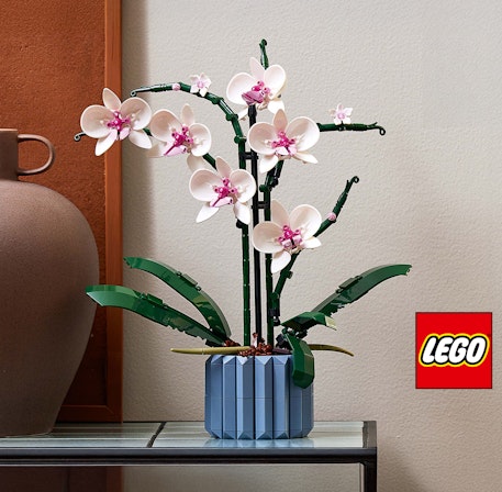 1750959075-1202857-2025