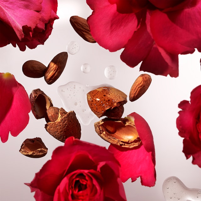 Rituales de Fiesta con RITUALS