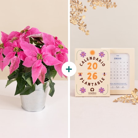 1750959075-1202857-2025