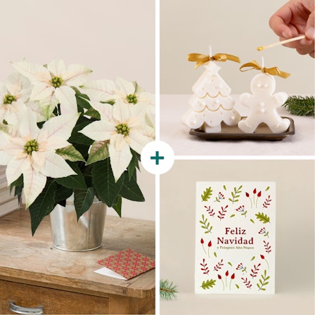 1750959075-1202857-2025