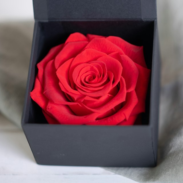 Rosas eternas