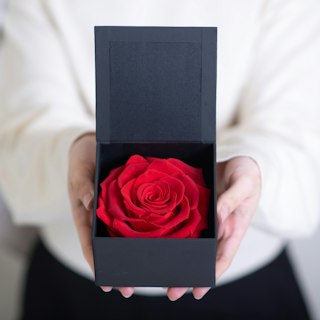 Rosa Eterna