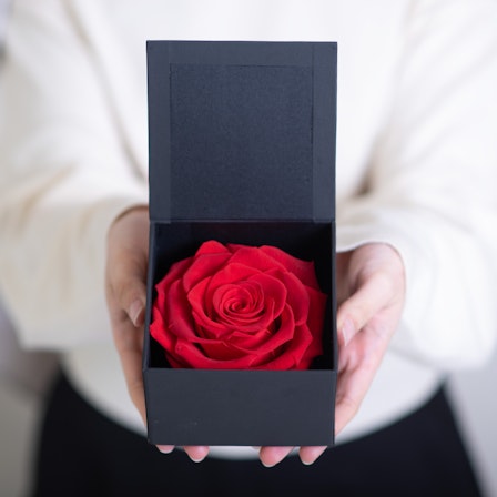 1750959075-1202857-2025