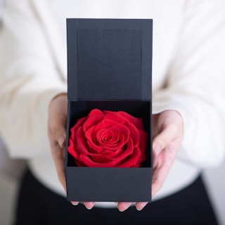 Rosa Eterna