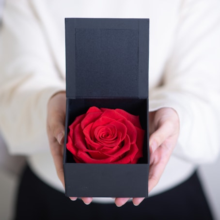 Rosa Eterna