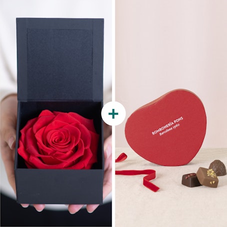 Rosa Eterna & Bombones de Amor