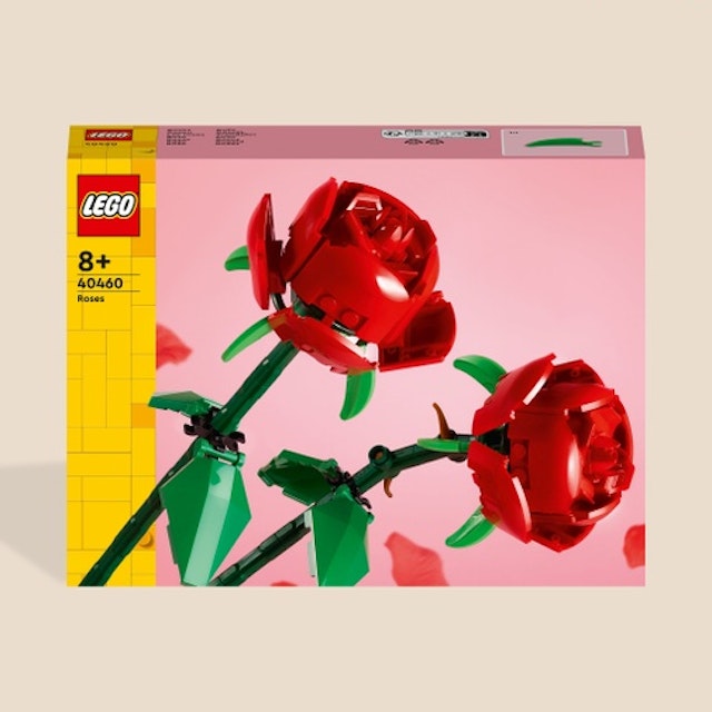 Amor para Siempre LEGO®