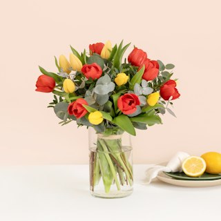 Tulipanes multicolor